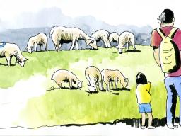 Les moutons sont rentrés dans Grenoble... la suite